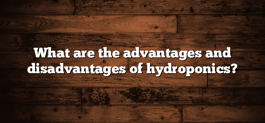 What are the advantages and disadvantages of hydroponics?