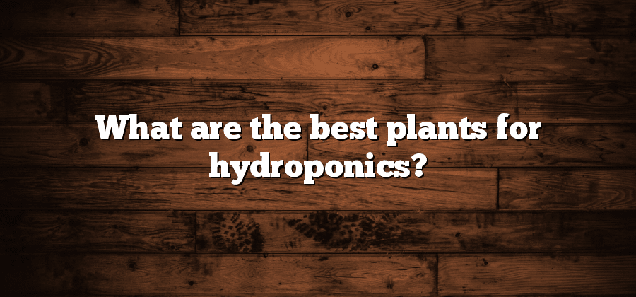 What are the best plants for hydroponics?