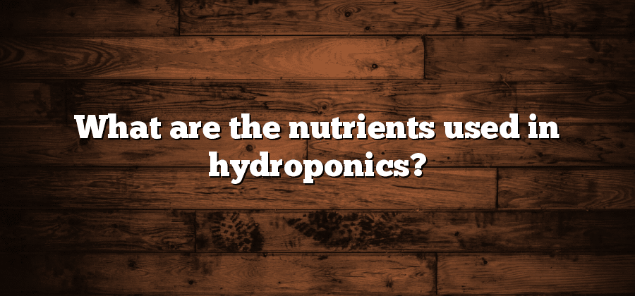 What are the nutrients used in hydroponics?