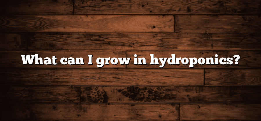 What can I grow in hydroponics?