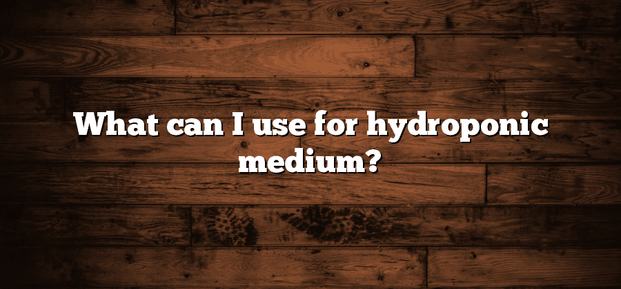 What can I use for hydroponic medium?