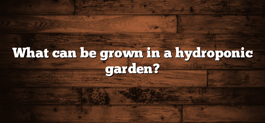 What can be grown in a hydroponic garden?