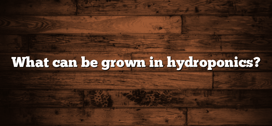 What can be grown in hydroponics?