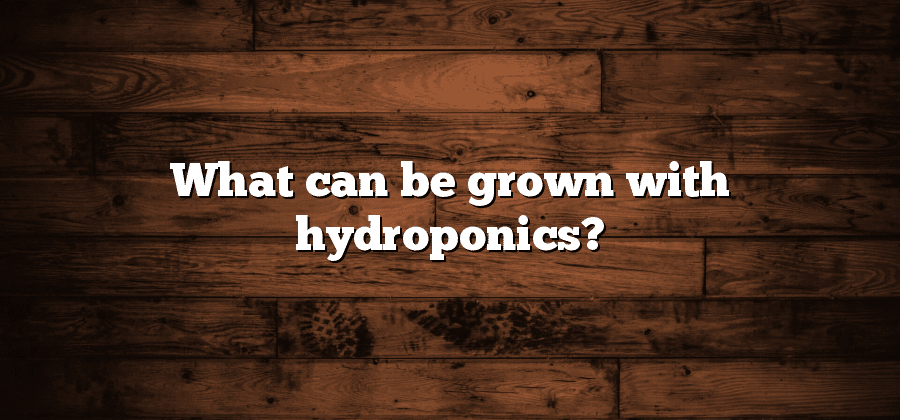 What can be grown with hydroponics?