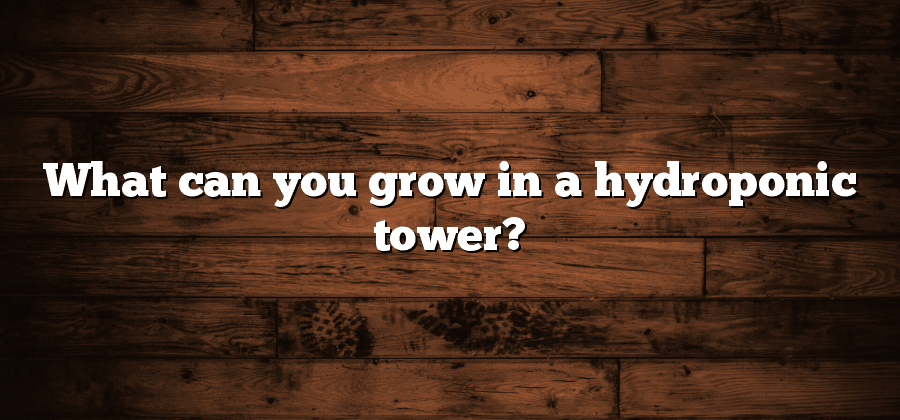 What can you grow in a hydroponic tower?