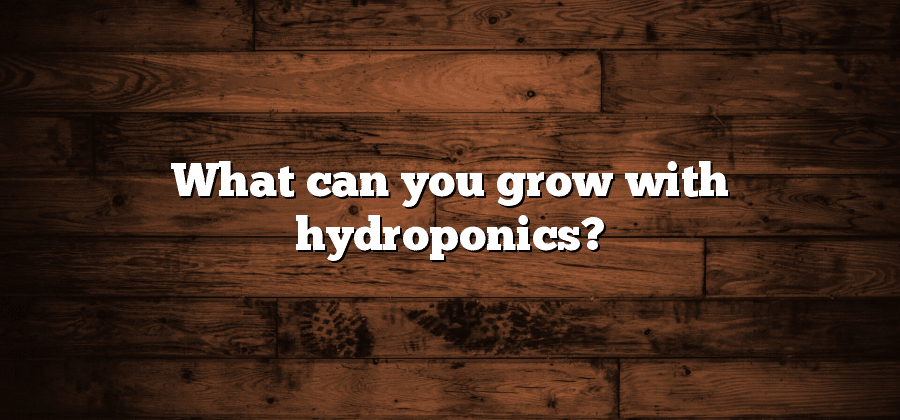 What can you grow with hydroponics?