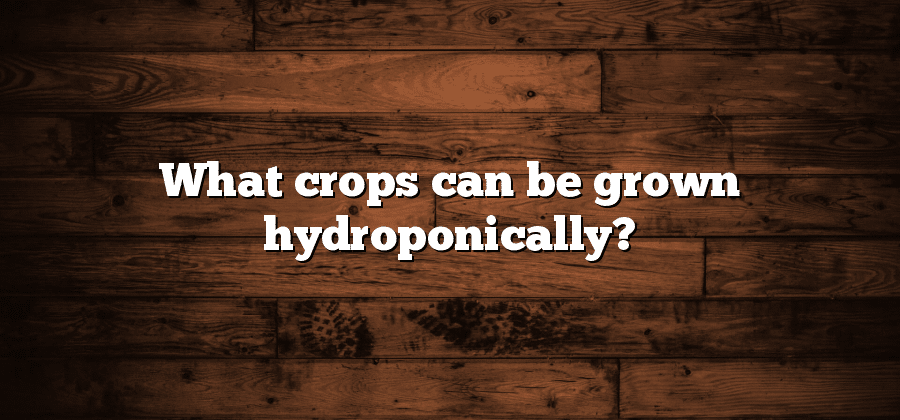 What crops can be grown hydroponically?