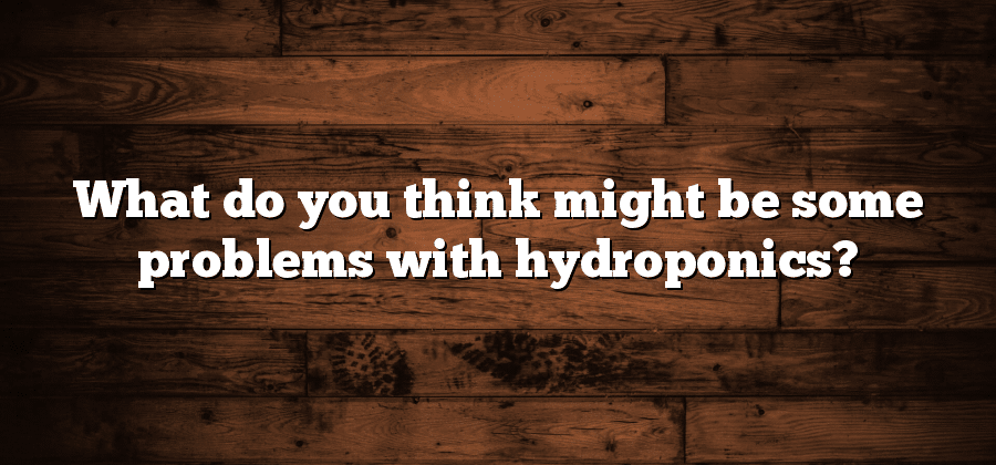 What do you think might be some problems with hydroponics?