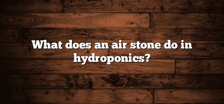 What does an air stone do in hydroponics?