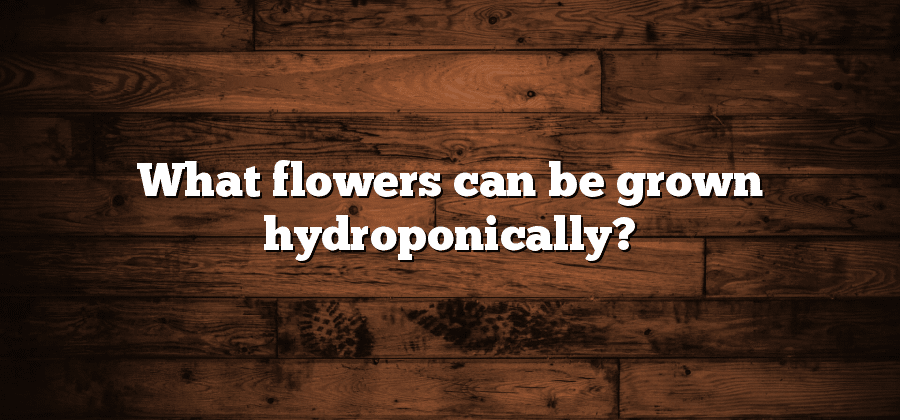 What flowers can be grown hydroponically?