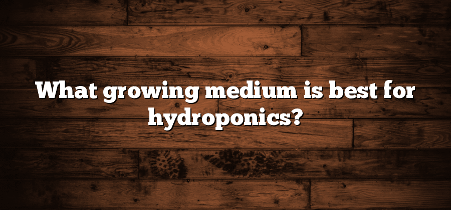 What growing medium is best for hydroponics?