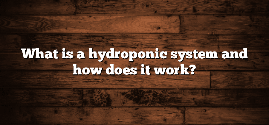 What is a hydroponic system and how does it work?