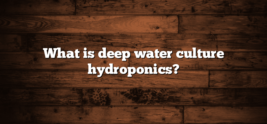 What is deep water culture hydroponics?