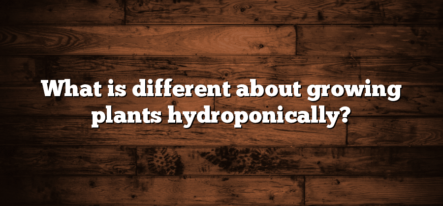 What is different about growing plants hydroponically?
