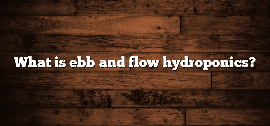What is ebb and flow hydroponics?
