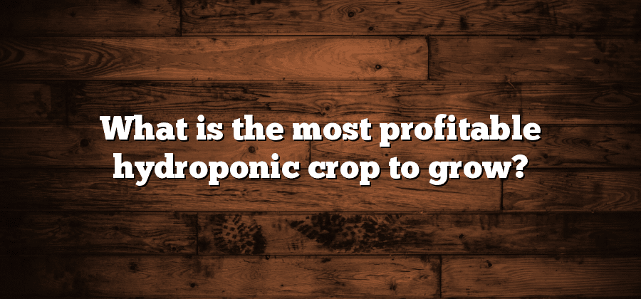 What is the most profitable hydroponic crop to grow?