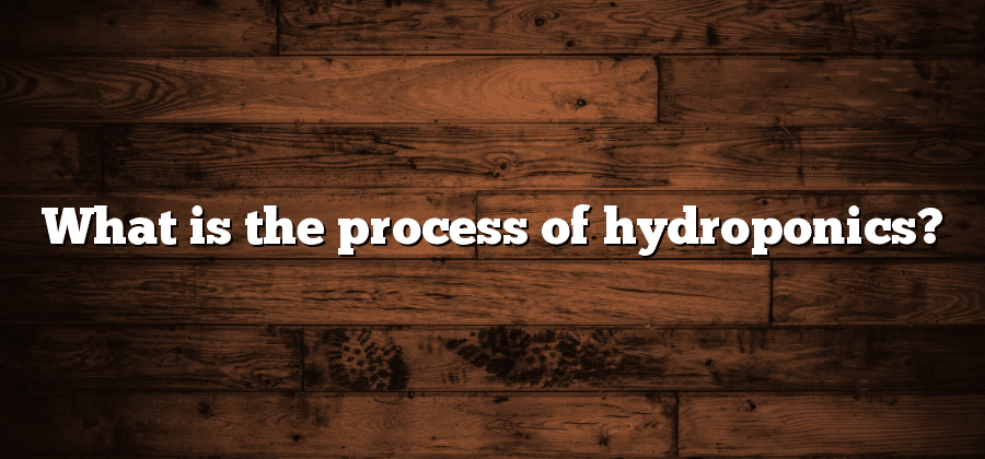What is the process of hydroponics?