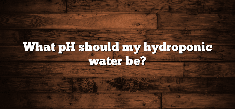 What pH should my hydroponic water be?