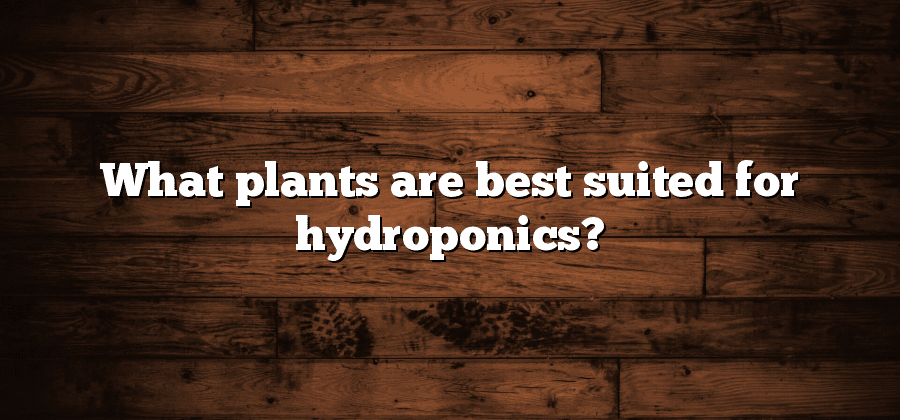 What plants are best suited for hydroponics?