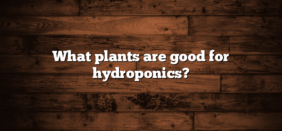 What plants are good for hydroponics?