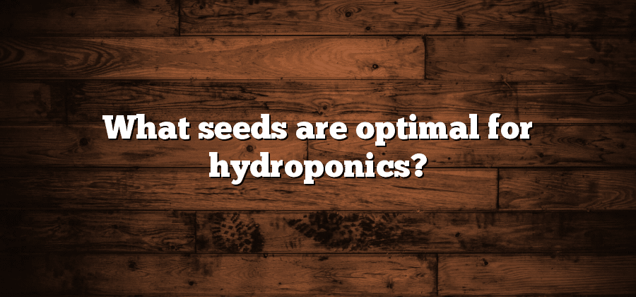 What seeds are optimal for hydroponics?