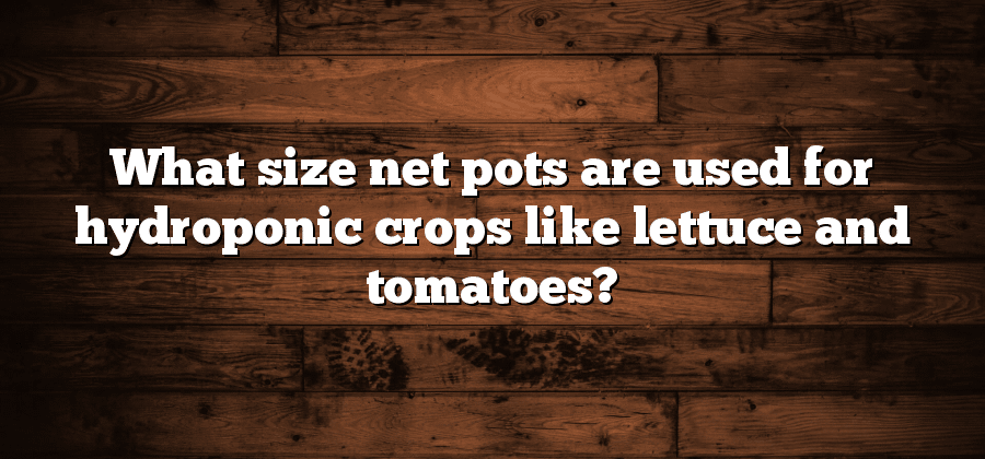 What size net pots are used for hydroponic crops like lettuce and tomatoes?