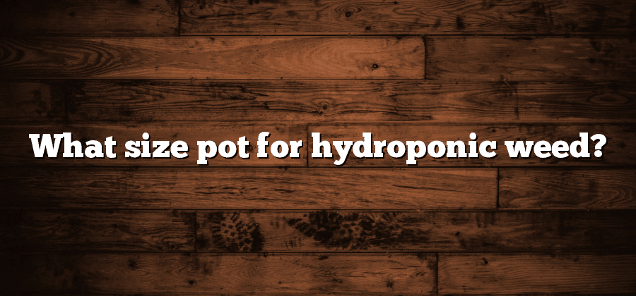 What size pot for hydroponic weed?