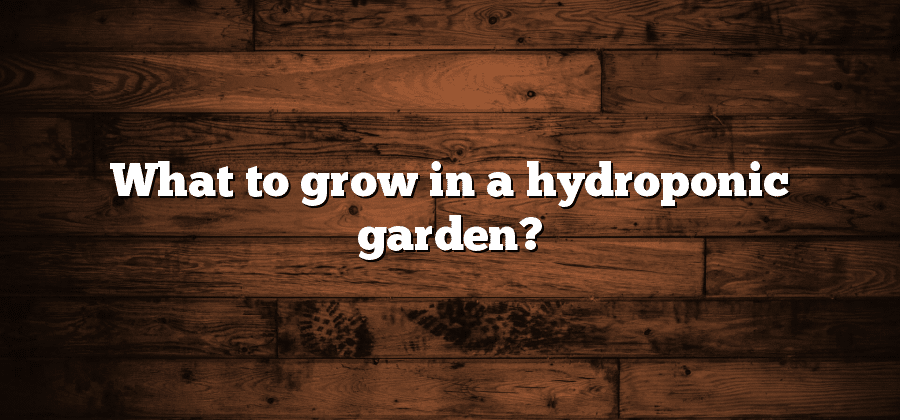 What to grow in a hydroponic garden?