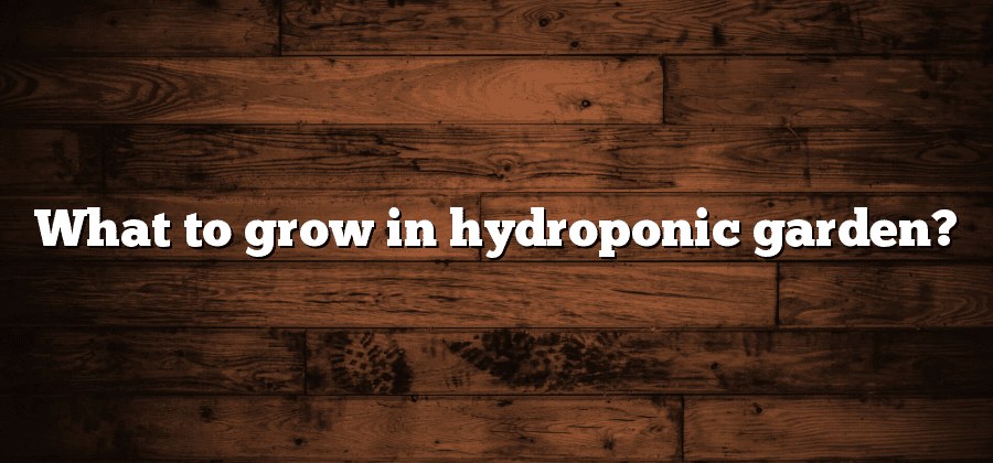 What to grow in hydroponic garden?