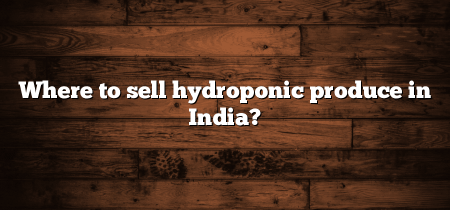 Where to sell hydroponic produce in India?