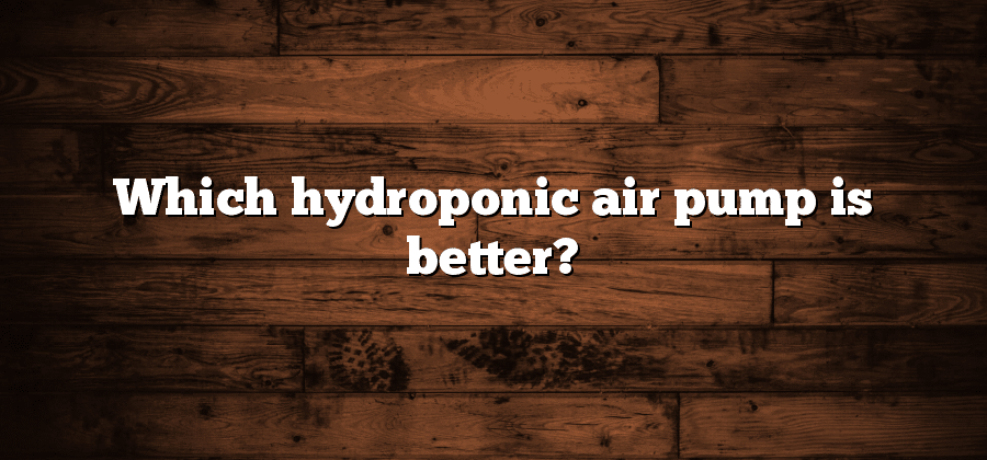 Which hydroponic air pump is better?