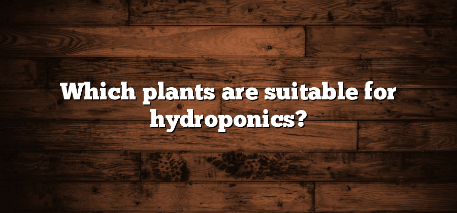 Which plants are suitable for hydroponics?
