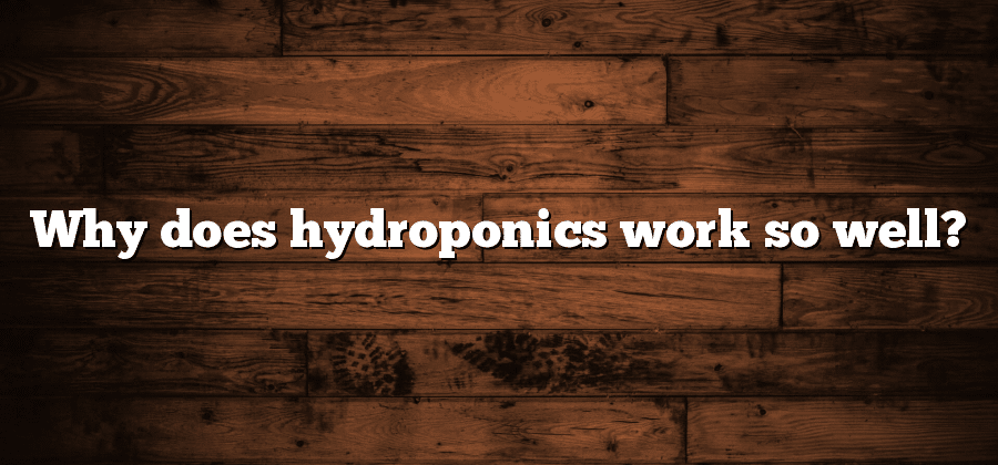Why does hydroponics work so well?