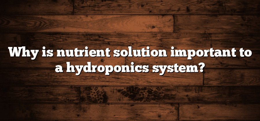Why is nutrient solution important to a hydroponics system?