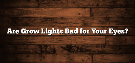 Are Grow Lights Bad for Your Eyes?