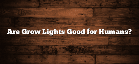 Are Grow Lights Good for Humans?