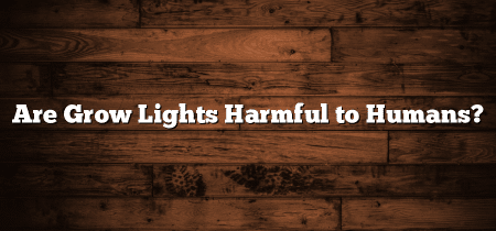 Are Grow Lights Harmful to Humans?