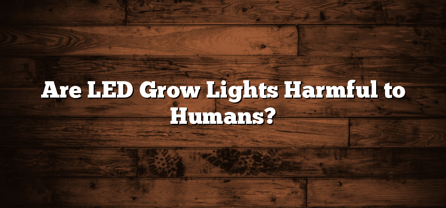 Are LED Grow Lights Harmful to Humans?