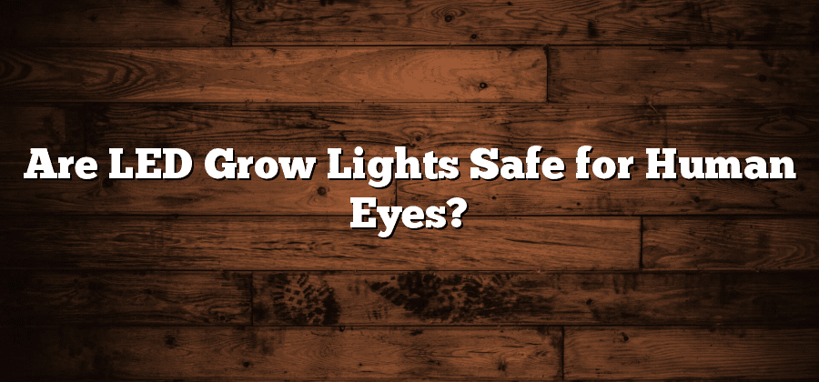Are LED Grow Lights Safe for Human Eyes?