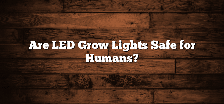 Are LED Grow Lights Safe for Humans?