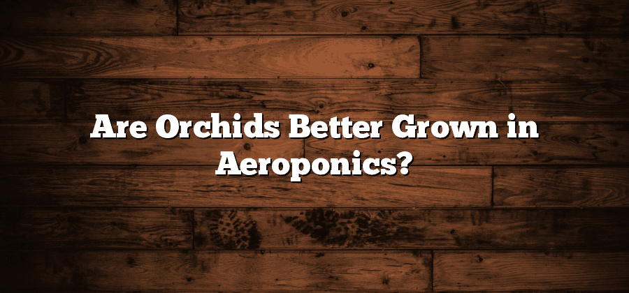 Are Orchids Better Grown in Aeroponics?