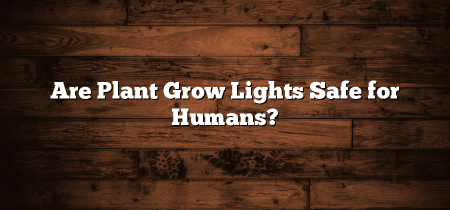 Are Plant Grow Lights Safe for Humans?
