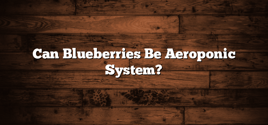 Can Blueberries Be Aeroponic System?