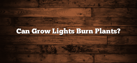 Can Grow Lights Burn Plants?