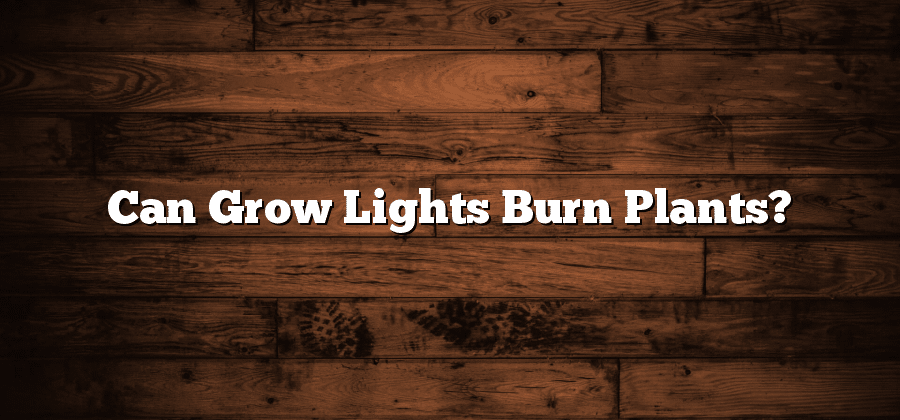 Can Grow Lights Burn Plants?