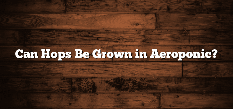 Can Hops Be Grown in Aeroponic?