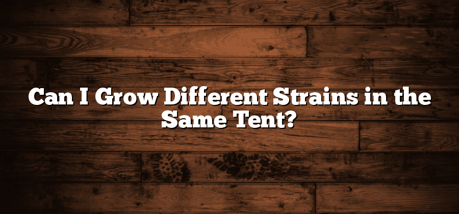 Can I Grow Different Strains in the Same Tent?