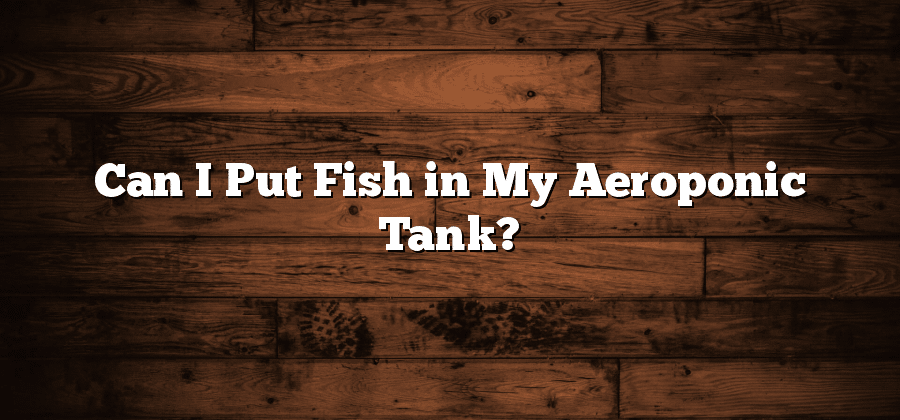 Can I Put Fish in My Aeroponic Tank?