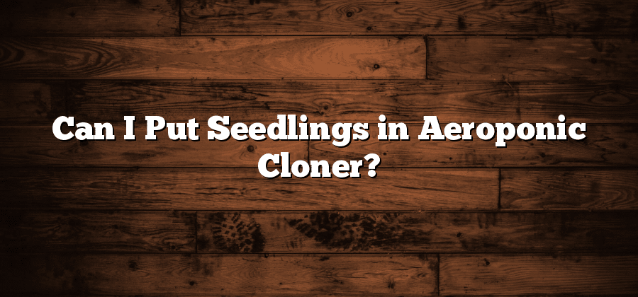 Can I Put Seedlings in Aeroponic Cloner?