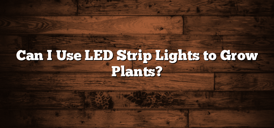 Can I Use LED Strip Lights to Grow Plants?